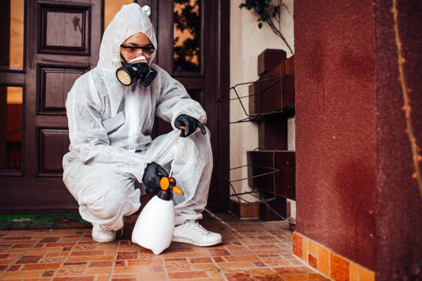 Reliable Cockroach Control contractor in Wasco, CA by Nex Pest Control